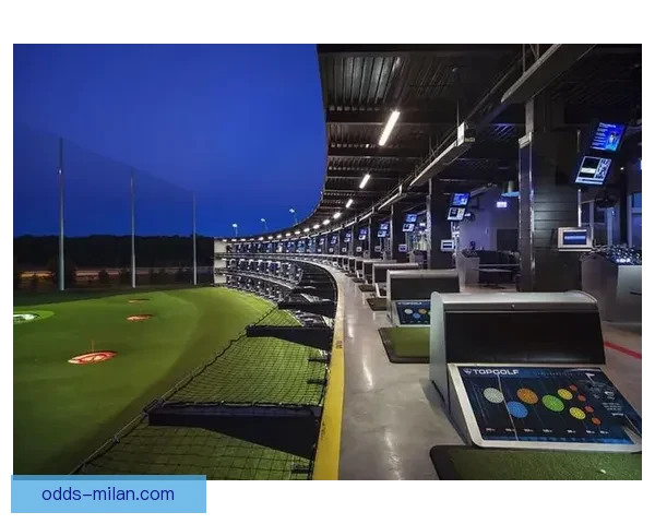 围绕米兰体育入口打造全新数字化体育娱乐体验平台发展蓝图